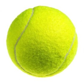 LeoPet Pallina Da Tennis Gialla Gioco Per Cani e Gatti Diametro 10 Cm