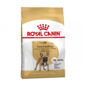 Royal Canin Breed French Bulldog Adult Crocchette Alimento Secco per Cani French Bulldog Adulti 12 mesi+ Sacco 3 Kg