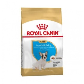 Royal Canin Breed French Bulldog Puppy Crocchette Alimento Secco per Cani French Bulldog Cuccioli -12 mesi Sacco 3 Kg