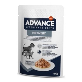 Advance Veterinary Diets Recovery Cane e Gatto 100g | Pet Convenienza