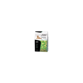 Golosi Biscotti Country Mela Menta 600 g | Pet Convenienza