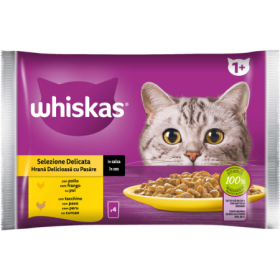 Whiskas Straccetti Delicato Pollo 4x85 g | Pet Convenienza