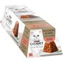 Gourmet Revelation Salmone | Pet Convenienza