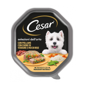 Cesar Cuore di Verdure Tenero Patè Con Pollo e Cuore di Verdure Cibo Umido Per Cani Vaschetta 150 gr