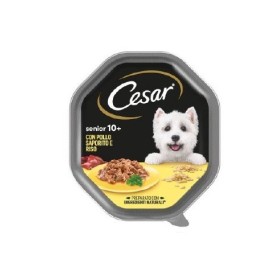 Cesar Senior 10+ Cane Gusto Pollo e Riso in Salsa Alimento Umido Per Cani Anziani Vaschetta 150 gr