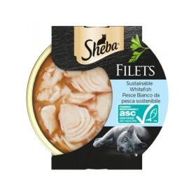 Sheba Filets Con Pesce Bianco da Pesca Sostenibile Cibo Umido Per Gatti Vaschetta da 60 Gr