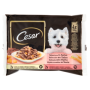 Cesar Multipack Salsa 3+1 | Pet Convenienza