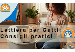 Cos'è la lettiera per Gatti? A cosa serve?