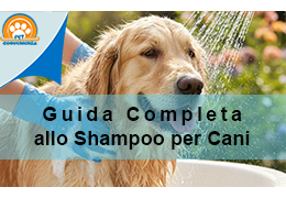 Shampoo per cani: guida completa e pratica per scegliere, usare e mantenere il pelo sano