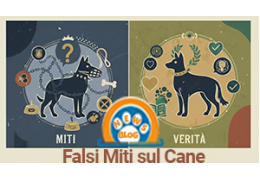 Miti e Falsi Credi sui Cani: Guida Completa per Famiglie e Futuri Proprietari