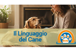 Comunicazione canina: linguaggio del corpo, segnali e comportamenti