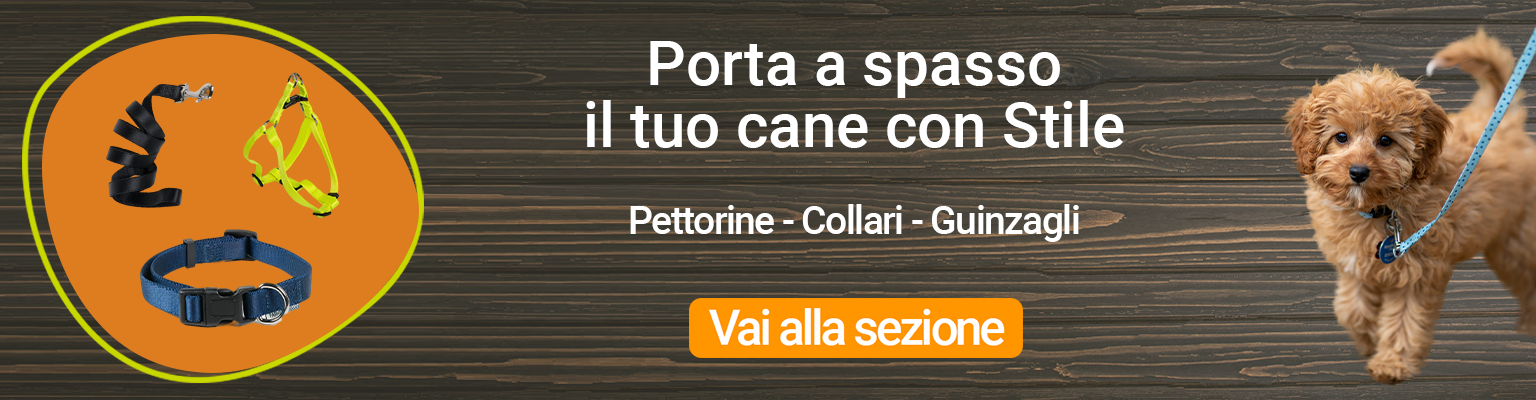 Guinzagli Pettorine Collari Per Cani